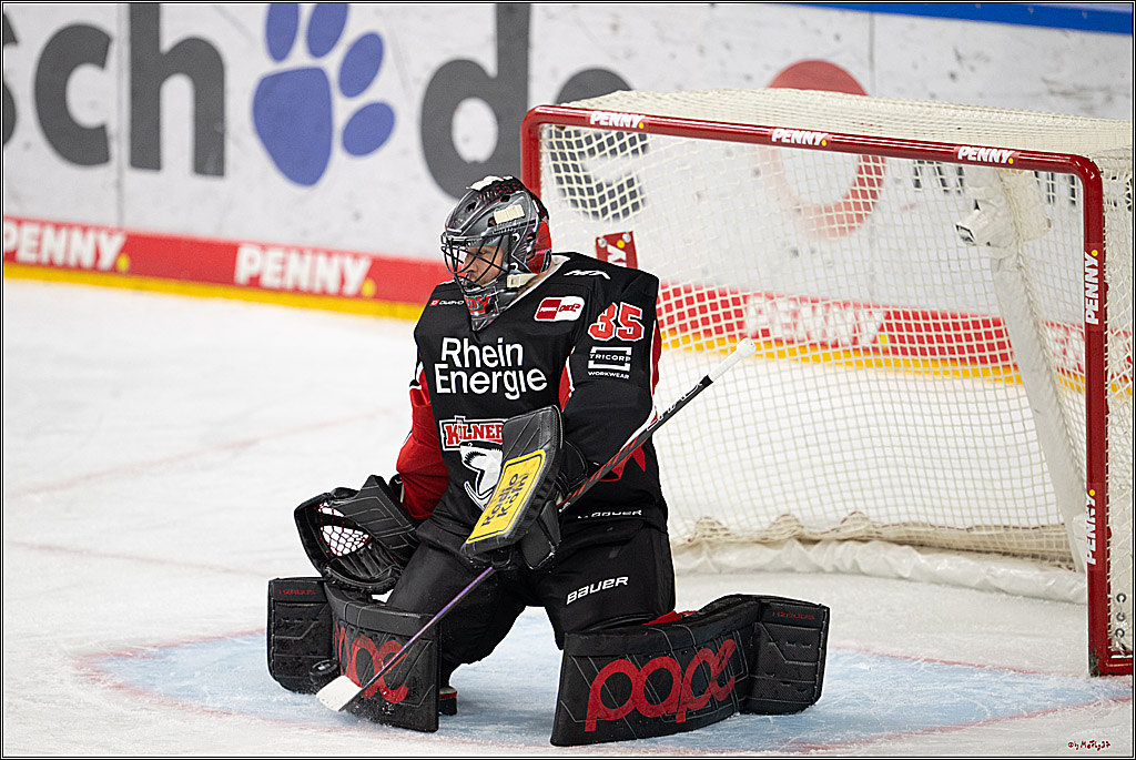 PENNY DEL 1; Kölner Haie - Düsseldorfer EG ; Köln, 16.02.2025